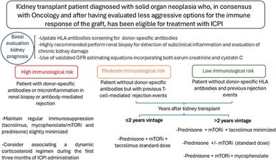 Immunotherapy for Cancer in Kidney Transplant Patients: A Difficult Balance Between Risks and Benefits